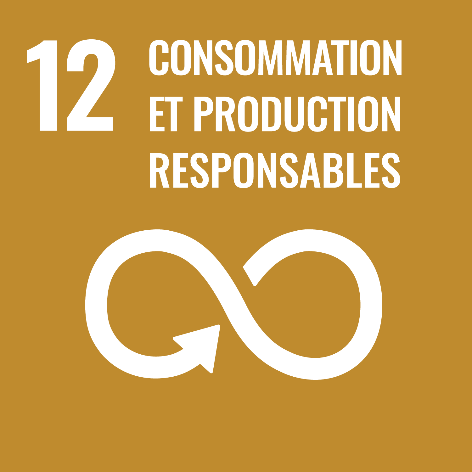 Établir des modes de consommation et de production durables