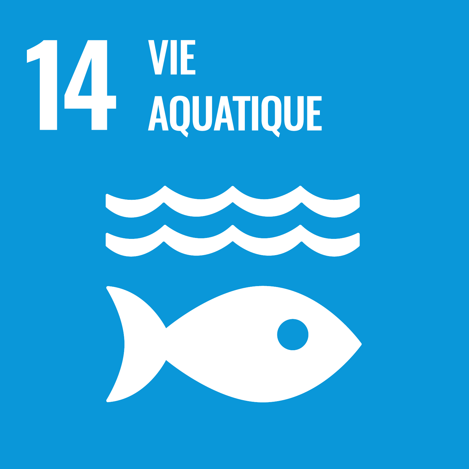 Conserver et exploiter de manière durable les océans, les mers et les ressources marines aux fins du développement durable
