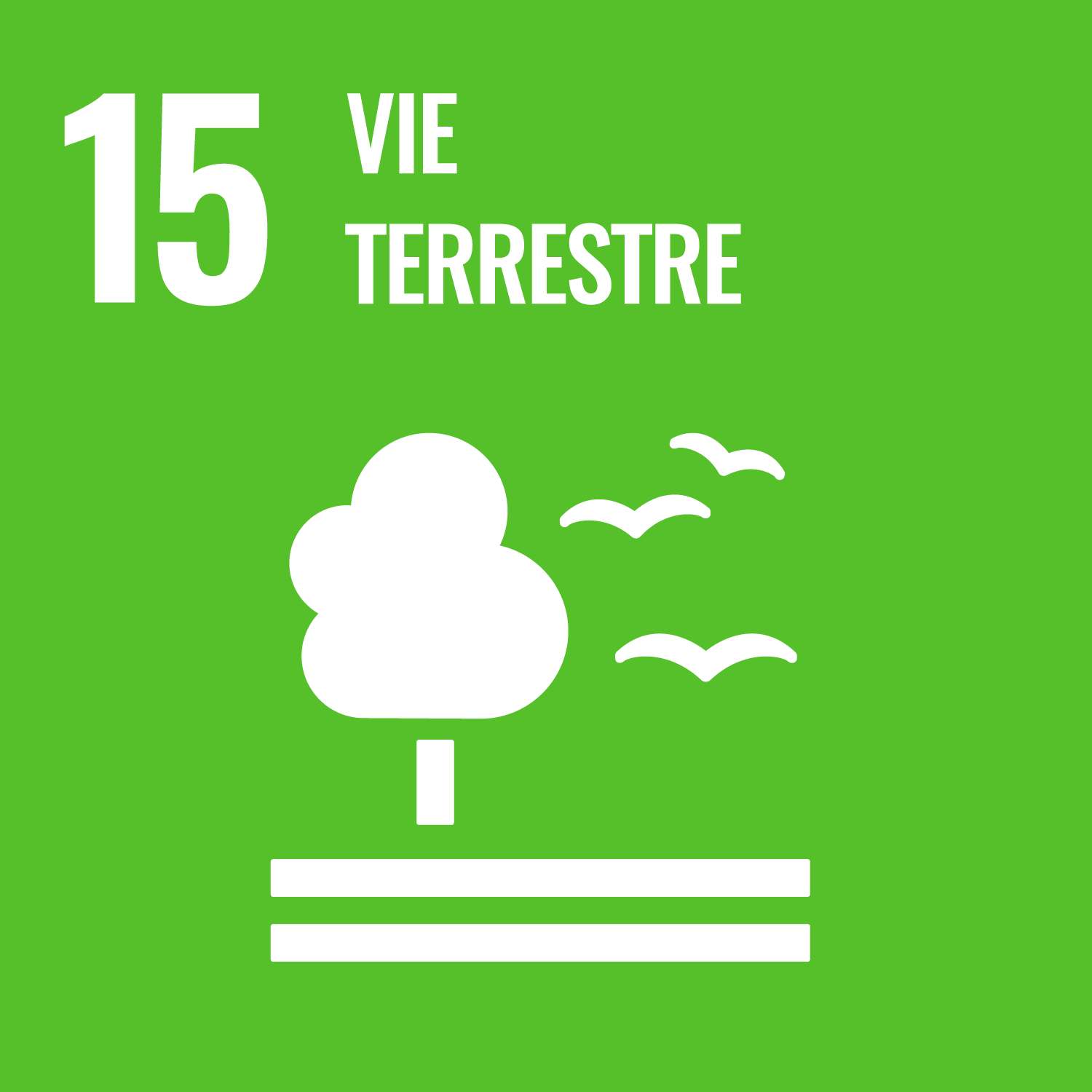 Préserver et restaurer les écosystèmes terrestres, en veillant à les exploiter de façon durable, gérer durablement les forêts, lutter contre la désertification, enrayer et inverser le processus de dégradation des terres et mettre fin à l'appauvrissement de la biodiversité