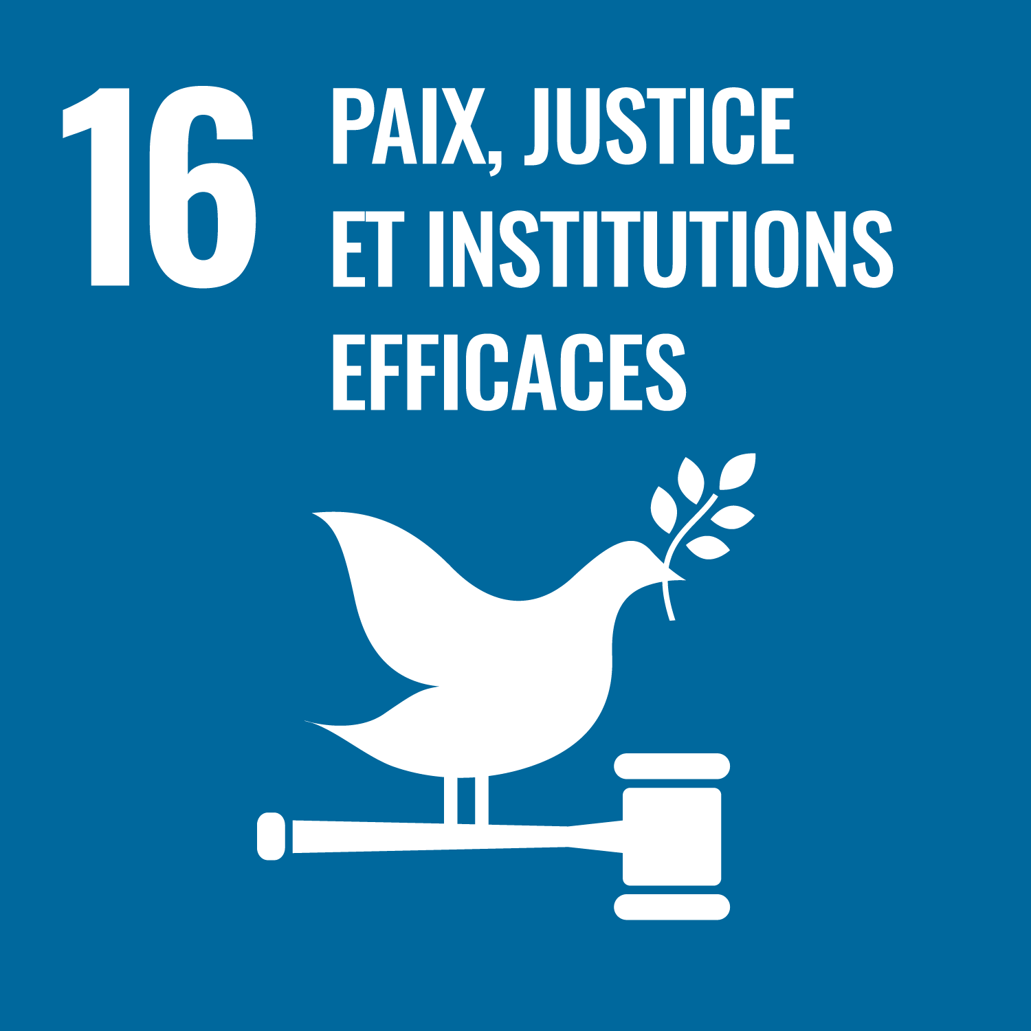Promouvoir l'avènement de sociétés pacifiques et ouvertes à tous aux fins du développement durable, assurer l'accès de tous à la justice et mettre en place, à tous les niveaux, des institutions efficaces, responsables et ouvertes à tous