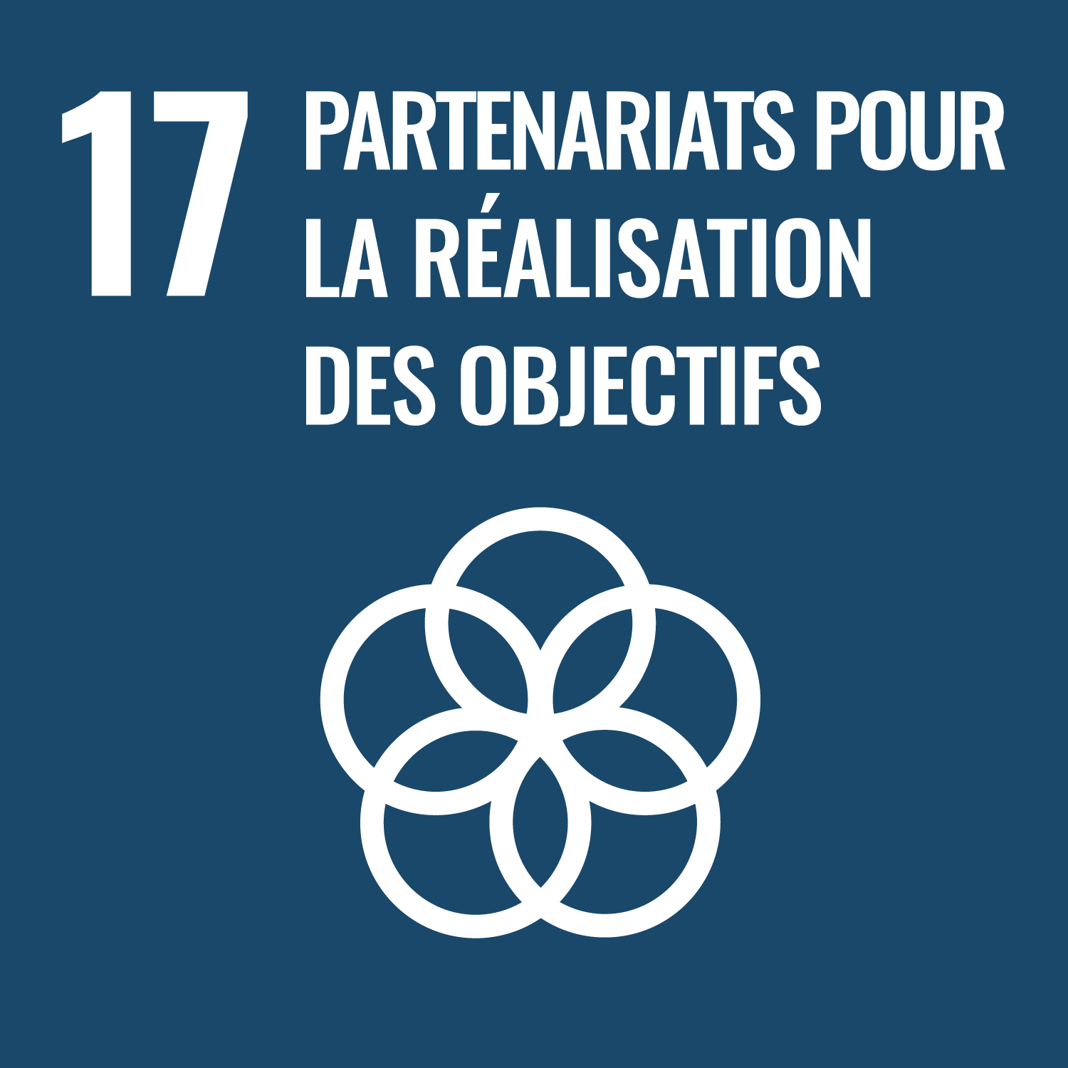Renforcer les moyens de mettre en oeuvre le Partenariat mondial pour le développement durable et le revitaliser